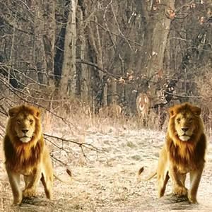 Meet your Posher, Javier